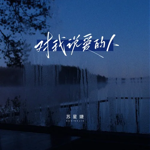 對我說愛的人-蘇星婕