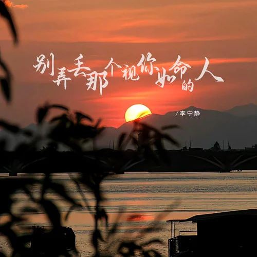 別弄丟那個視你如命的人-李寧靜