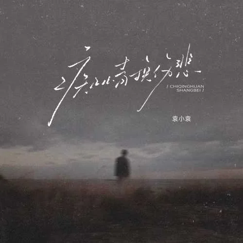 痴情换伤悲 (伴奏)-袁小袁