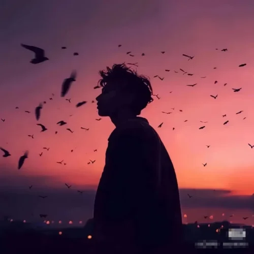 知我(試問人間)-譚淵