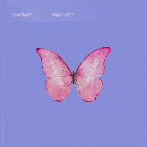 Butterflies-Johnny Stimson