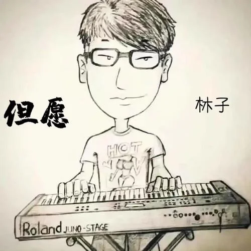 但愿（煙嗓版）-林子