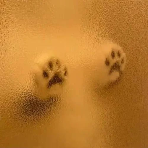 深秋的黎明 (cover: 黎明)-劉暢