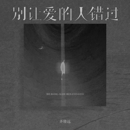 別讓愛的人錯過 (DJ版)-齊修遠