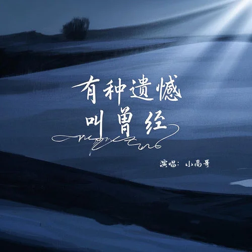 有種遺憾叫曾經(jīng) (DJ版)-小高哥