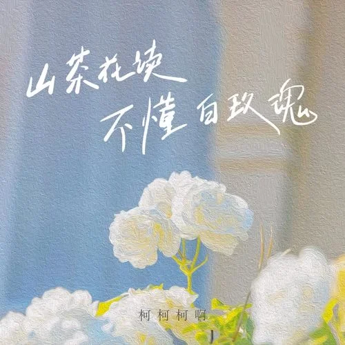 山茶花讀不懂白玫瑰(吉他版)-柯柯柯啊