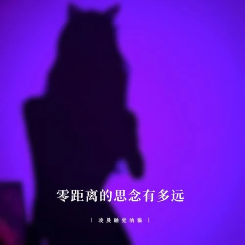 灰色的人間 (DJ超燃版)-凌晨睡覺(jué)的貓