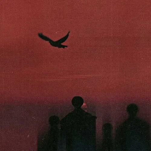 不甘成碳方能成鉆-Feeling.