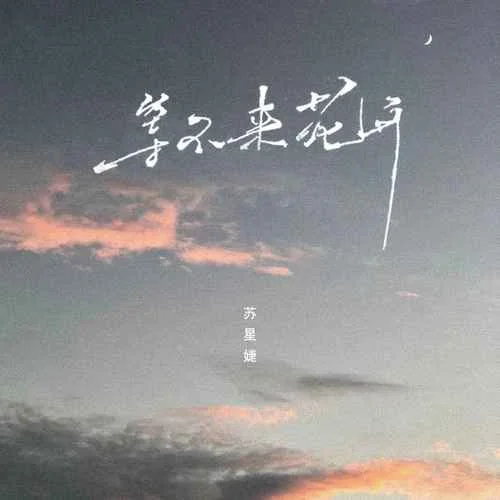 等不來花開-蘇星婕