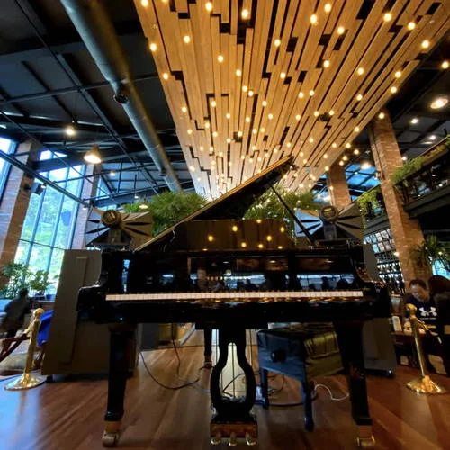 Yo Perreo Sola-十送紅軍