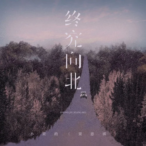 終究向北 (DJ版)-小梁的（梁思琪）