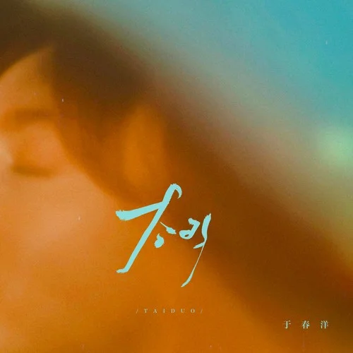 太多（DJ阿布版）-于春洋