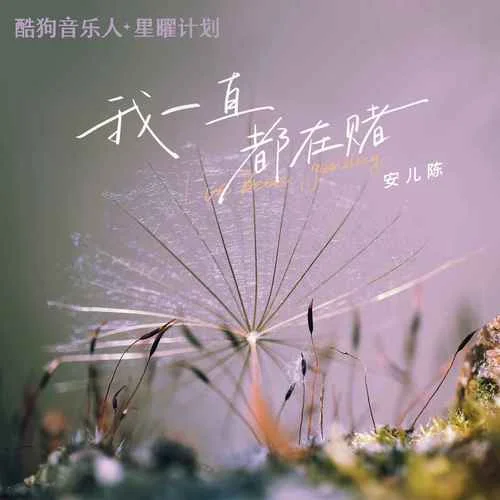 我一直都在賭-安兒陳