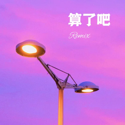 算了吧(Remix)-zyy
