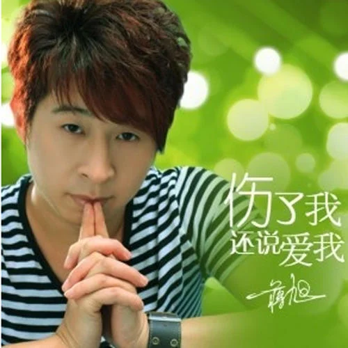傷了我還說愛我-蔣旭