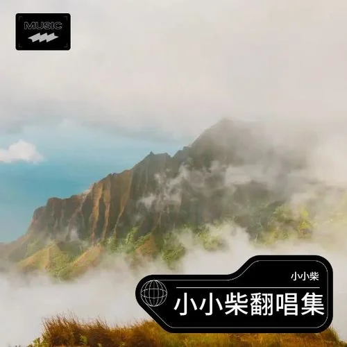 寒冬向北 (cover: 氣質(zhì)武道) (其他)-小小柴