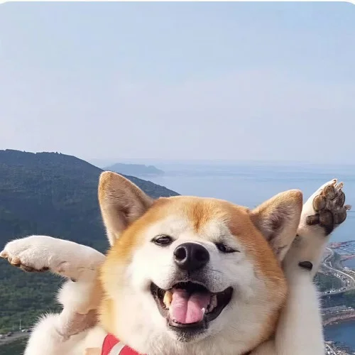 馳Timelapse (cover: CORSAK胡夢周)-Lucasqi