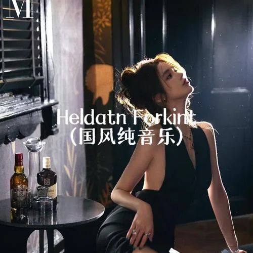 Heldatn Forkint (國(guó)風(fēng)純音樂(lè))-Roling7