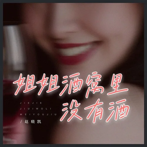 姐姐酒窩里沒有酒-趙曉凱