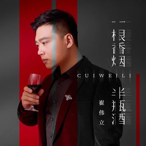 一根香煙半瓶酒(DJ默涵版)-崔偉立
