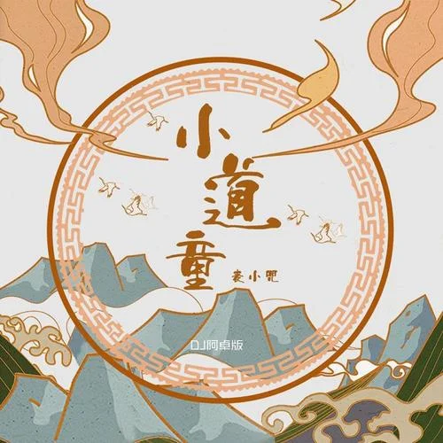 小道童(DJ阿卓版)-麥小兜