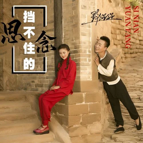 擋不住的思念-野強(qiáng)強(qiáng)