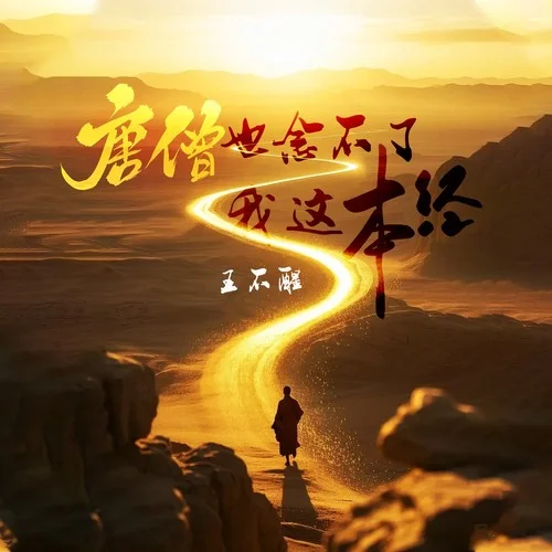 唐僧也念不了我這本經(jīng)(DJ阿卓版)-王不醒