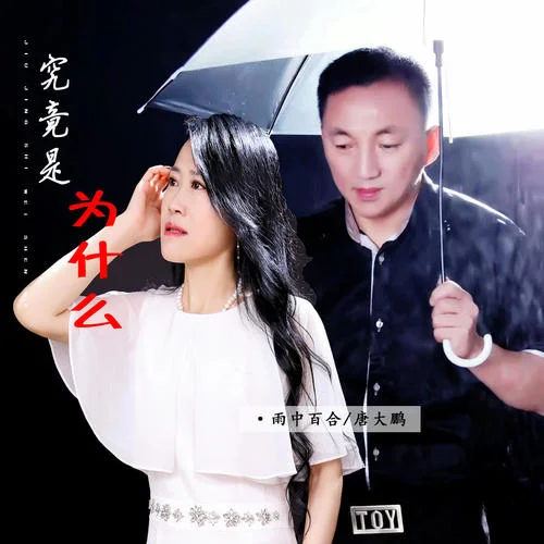 究竟是為什么-雨中百合&唐大鵬