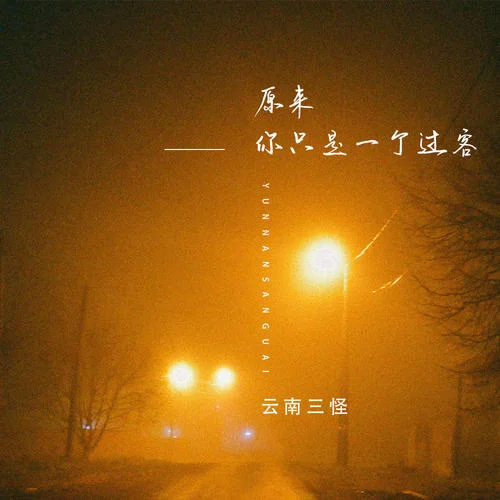 原來你只是一個(gè)過客(DJ R7版)-云南三怪