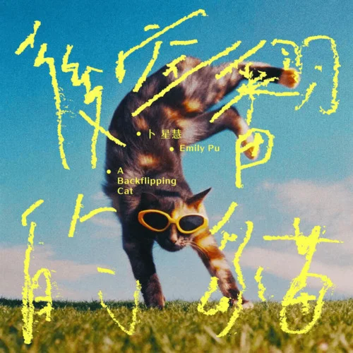 后空翻的猫-卜星慧