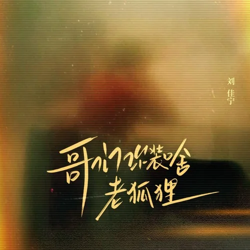 哥們你裝啥老狐貍-劉佳寧