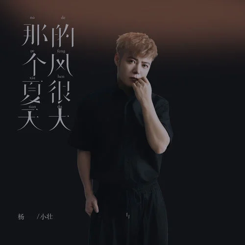 那個夏天的風很大-楊小壯