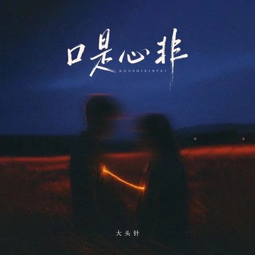 口是心非 (大头针版)-大头针