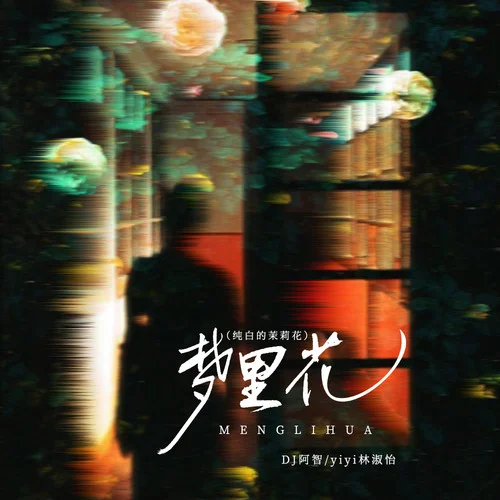 夢(mèng)里花 (唯一純白的茉莉花)-DJ阿智&yiyi林淑怡