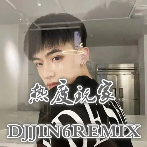 別怕我傷心(DJ版)-金6