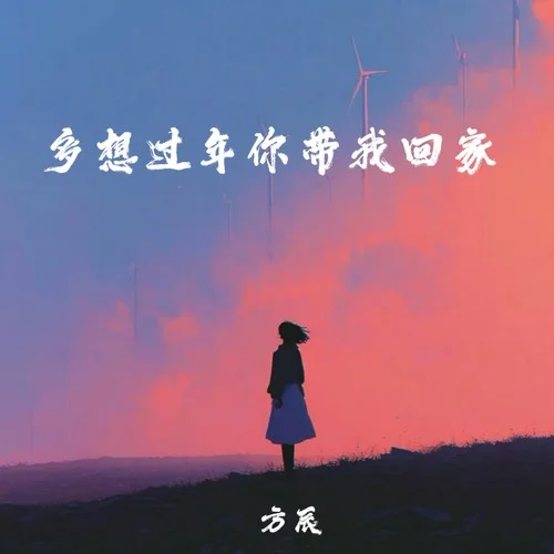 多想過年你帶我回家-方辰