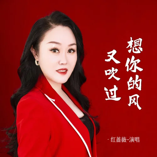 想你的風(fēng)又吹過(guò)-紅薔薇