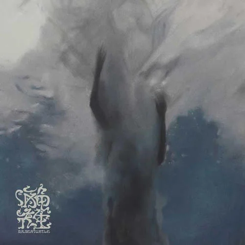 瑪卡瑞納-海龜先生