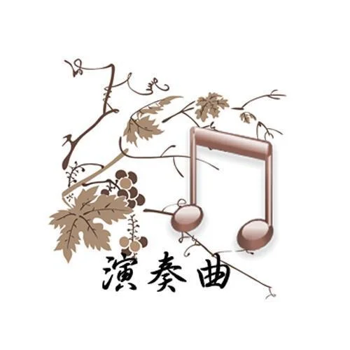 神經(jīng)病之歌（二胡版）-演奏曲