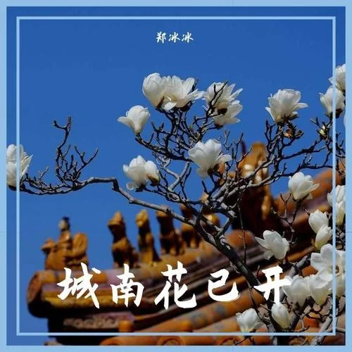 城南花已開（純音樂）-鄭冰冰