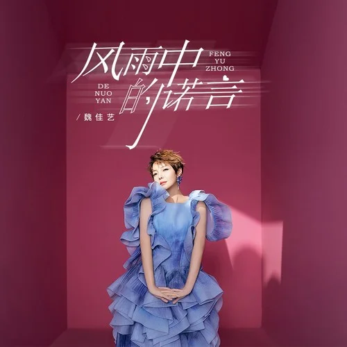 风雨中的诺言-魏佳艺