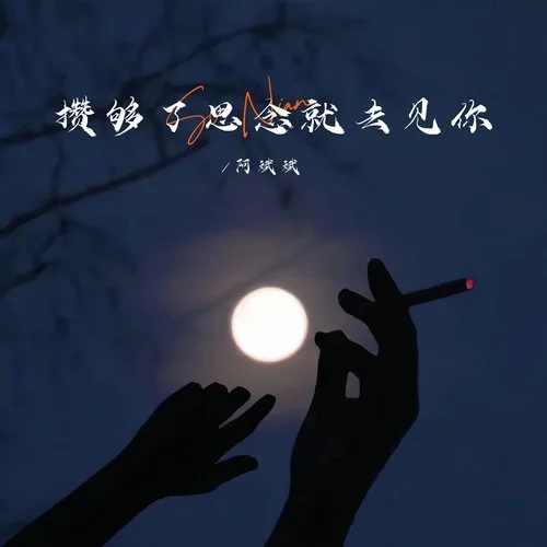 攢夠了思念就去見(jiàn)你（男DJ沈念版）-阿斌斌