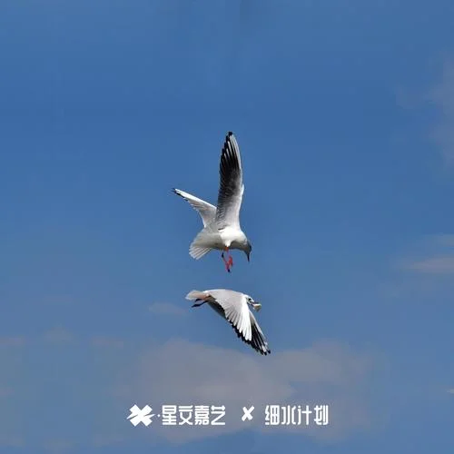 優(yōu)美動(dòng)聽(tīng)旋律 – V41(DJ版)-M.R.Y麥爾彥