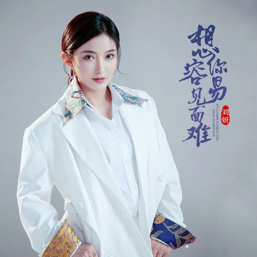 想你容易見面難-劉妍