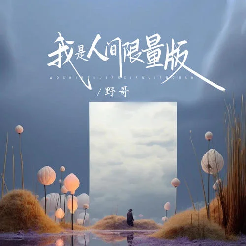 我是人間限量版-野哥