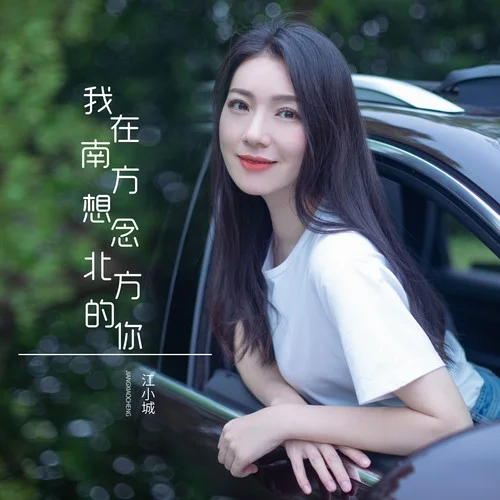 我在南方想念北方的你-江小城