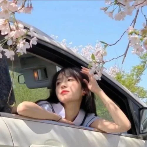 难却dj (花万森 remix)-花万森