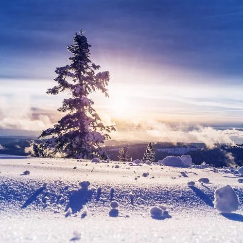 雪·晴-明日未来