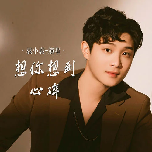 想你想到心碎-袁小袁