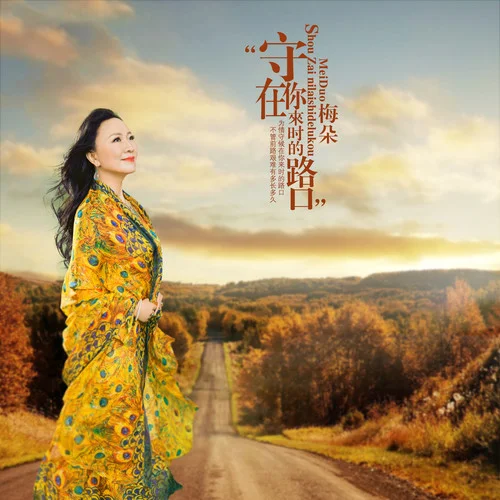 守在你來時的路口-梅朵